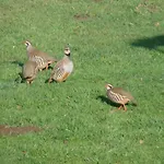 La Blanche Roche Alojamento de Acomodação e Pequeno-almoço 3*