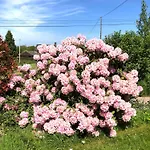 La Blanche Roche Alojamento de Acomodação e Pequeno-almoço