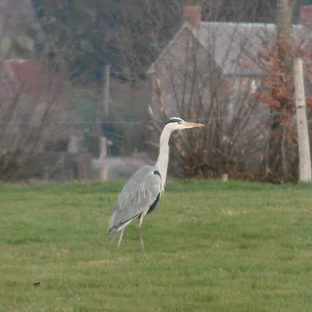 La Blanche Roche Sourdeval