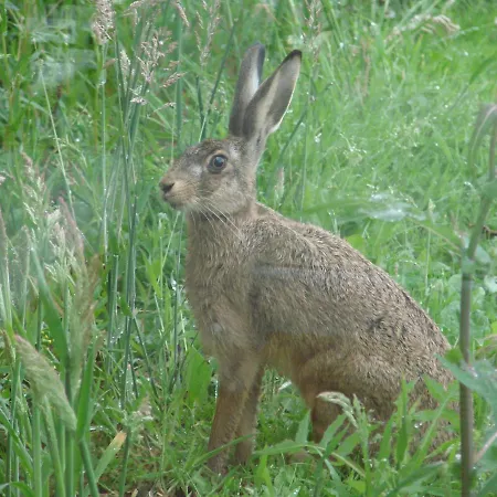 La Blanche Roche 3* Sourdeval