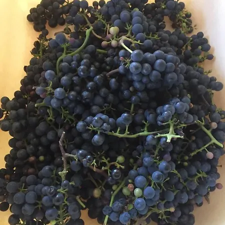 La Blanche Roche Sourdeval