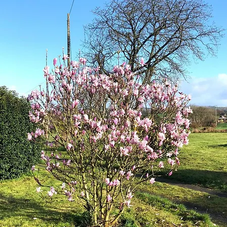 La Blanche Roche Alojamento de Acomodação e Pequeno-almoço