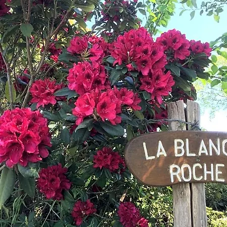 La Blanche Roche Bed & Breakfast
