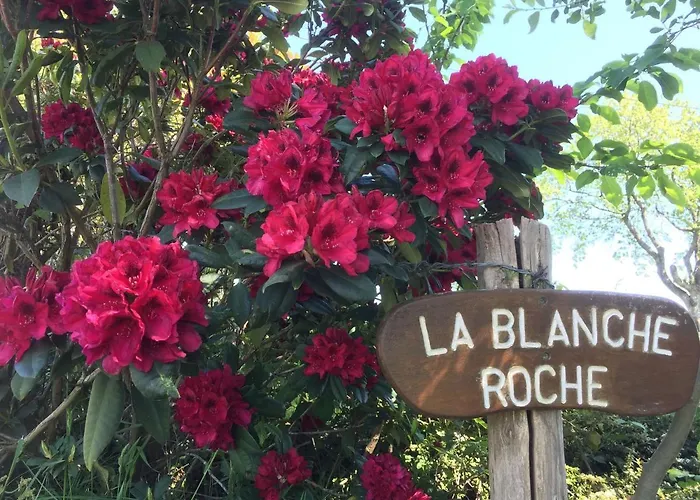 Bed & Breakfast La Blanche Roche