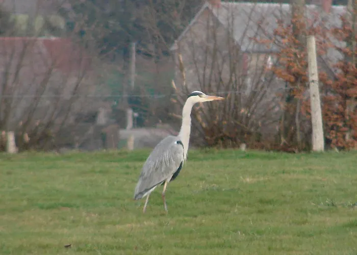 La Blanche Roche Sourdeval