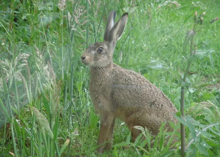 La Blanche Roche 3* Sourdeval
