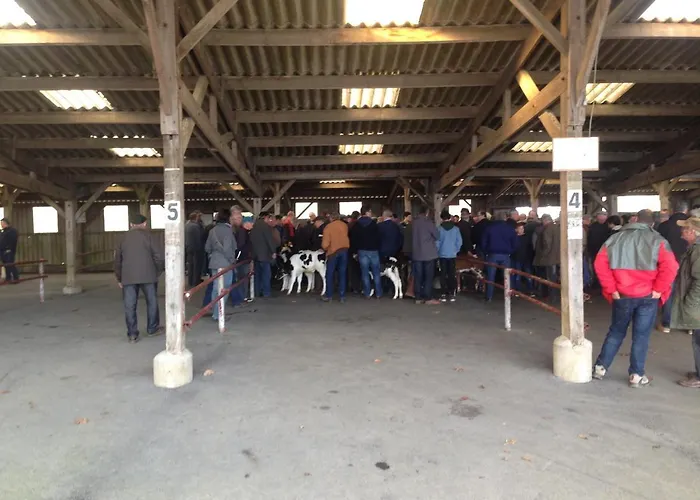 Oda ve Kahvaltı La Blanche Roche