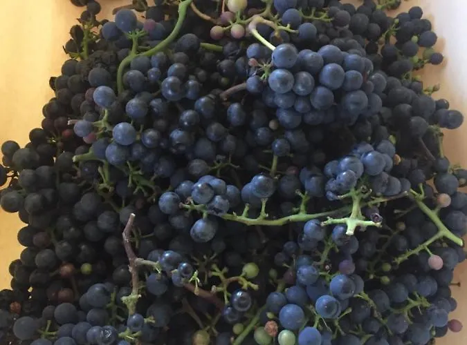 La Blanche Roche Sourdeval