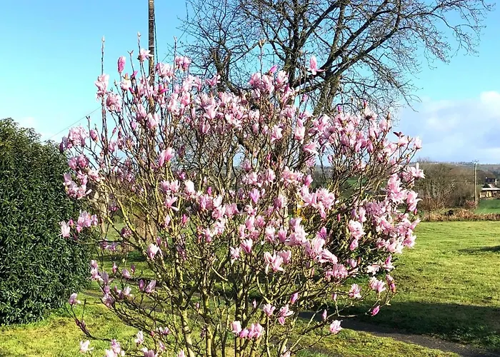 La Blanche Roche Bed & Breakfast