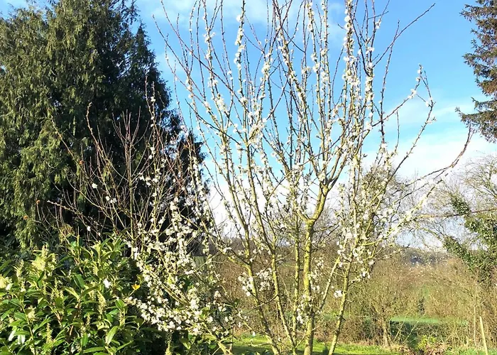 B&B La Blanche Roche 3*