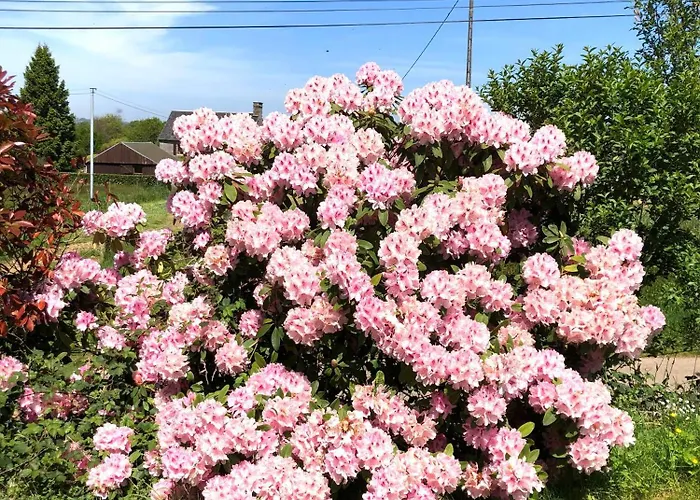 La Blanche Roche Oda ve Kahvaltı